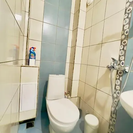 Apartment елена