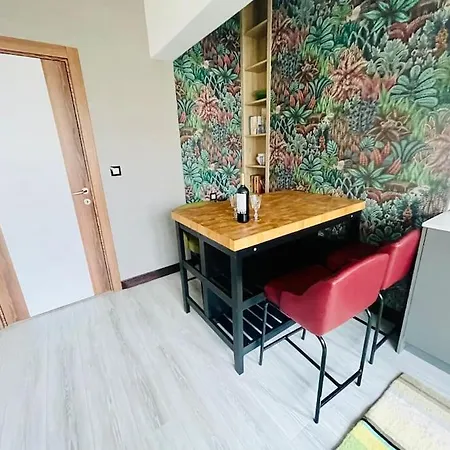 елена Apartment